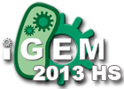 2013HS-logo.png