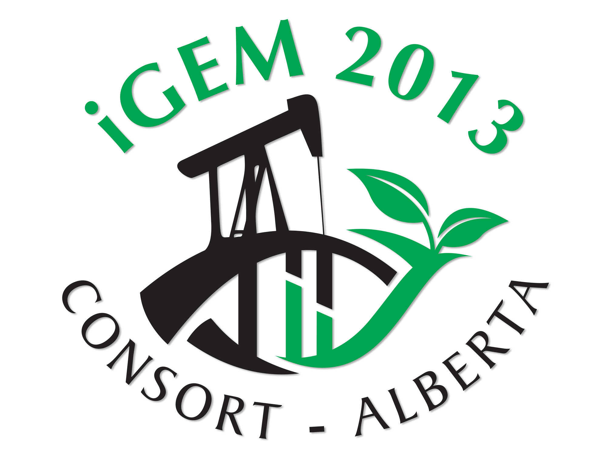 Consort School iGEM Logo.jpg