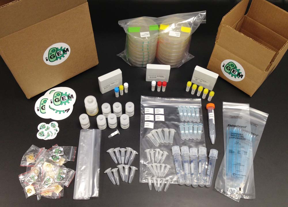 3A Assembly and Transformation Efficiency kits.jpg