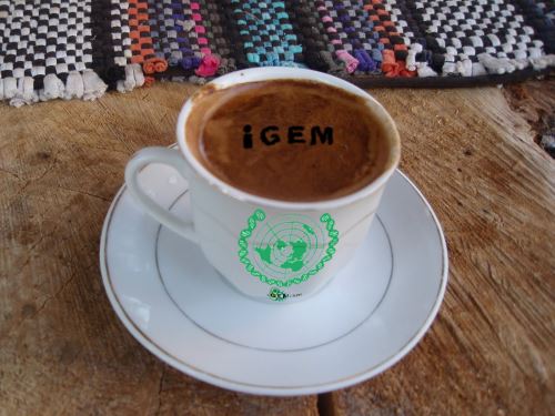 AUC TURKEY POSTER TURKISH COFFEE.JPG